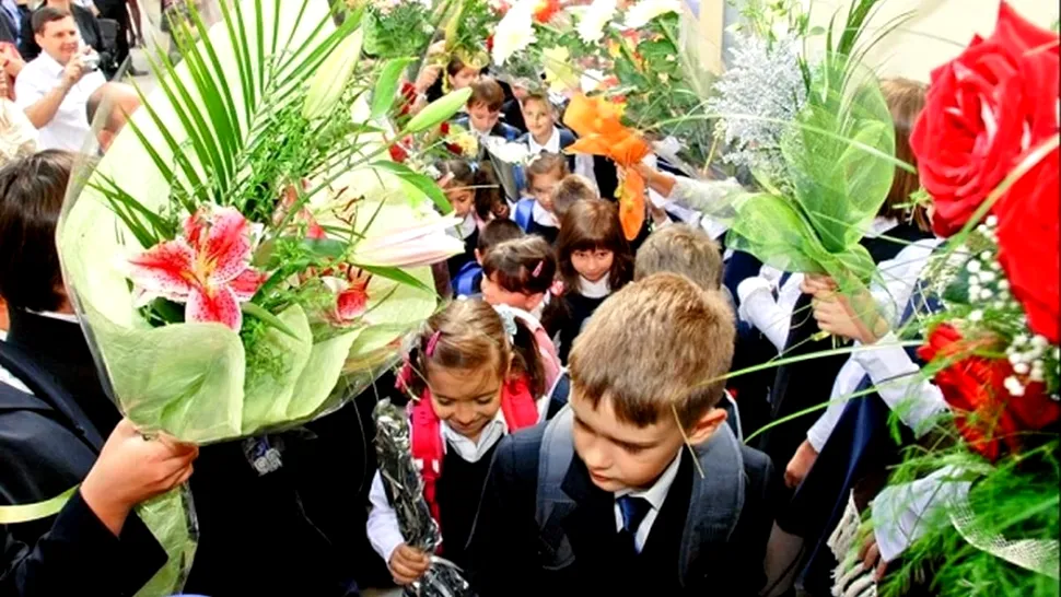 Cele mai potrivite flori pentru prima zi de școală. Cum să o impresionezi pe doamna învățătoare