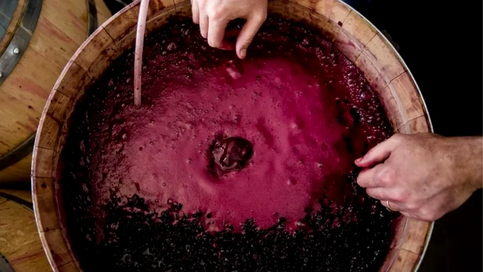 Cum poți opri vinul din fermentat. Trucul special pentru o aromă intensă