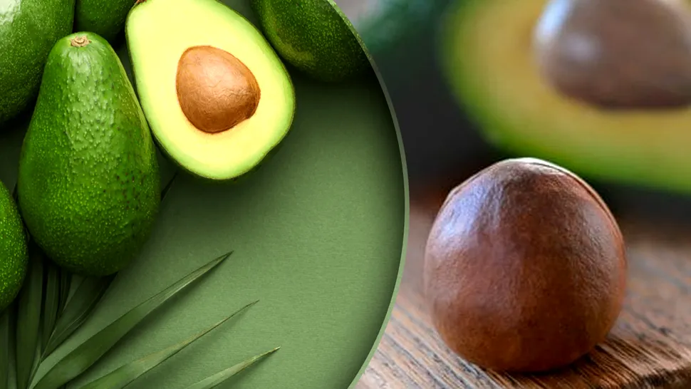 Nu mai arunca sâmburele de la avocado la gunoi. Ce poți face de fapt cu el, rămâi surprins când vei afla în câte moduri îl poți utiliza