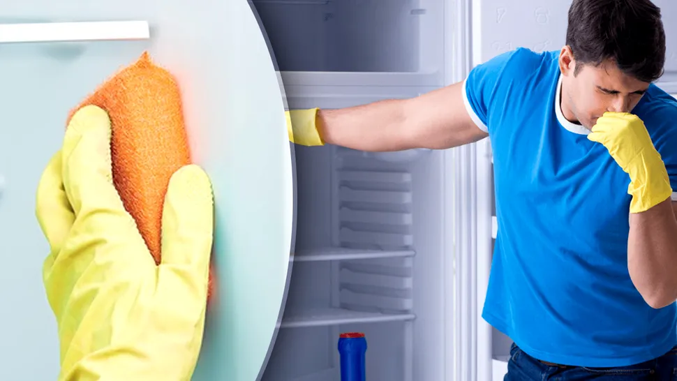 Cu ce se curăță frigiderul în interior. Ingredientele banale care fac o treabă extraordinară