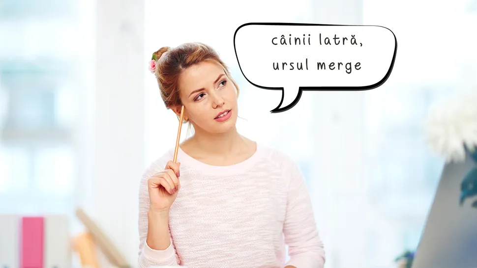 Ce înseamnă “câinii latră, ursul merge”. E una dintre cele mai populare expresii românești, dar puțini îi știu semnificația