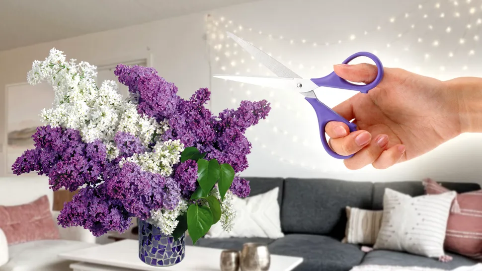 Cum să tai florile de liliac ca să reziste mai mult timp în vază. Metoda secretă care parfumează toată casa