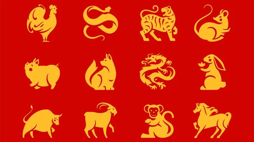 Horoscop chinezesc azi, joi, 14 noiembrie 2024. Semnele de foc vor trăi la maxim această zi