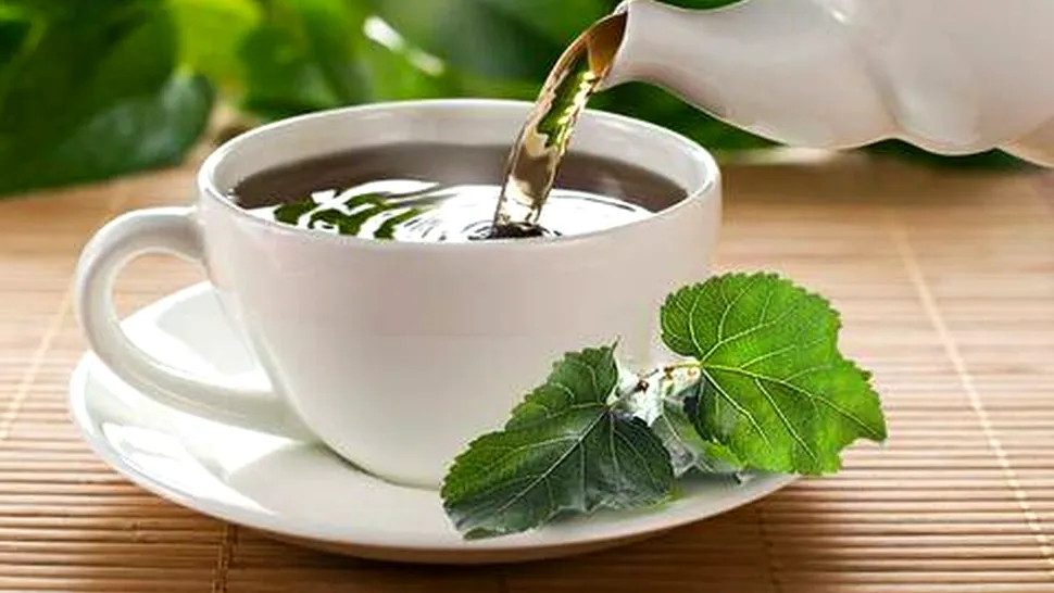 Ceaiul din frunze de dud negru. Un remediu natural care reglează glicemia și întărește oasele