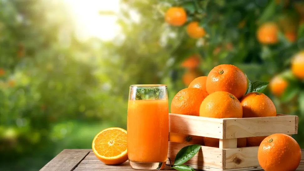 Fructul care îți îmbunătățește starea de spirit. Ce spun cercetătorii despre efectele portocalei asupra creierului
