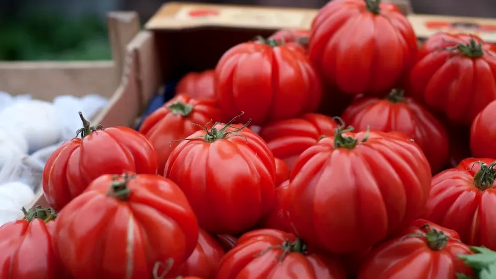 Ce legume se plantează lângă roșii, în grădină sau în solar