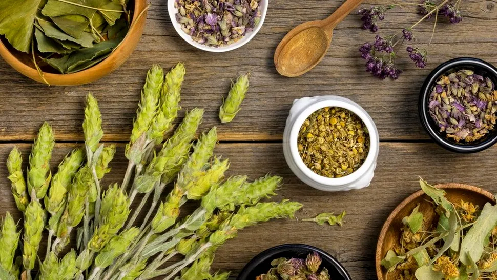 Cum te pot ajuta plantele să eviți medicamentele de zi cu zi: 6 alternative naturale pentru problemele de sănătate comune