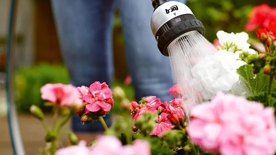 Cum să uzi corect plantele vara. Sfaturi utile pentru o grădină sănătoasă în sezonul cald