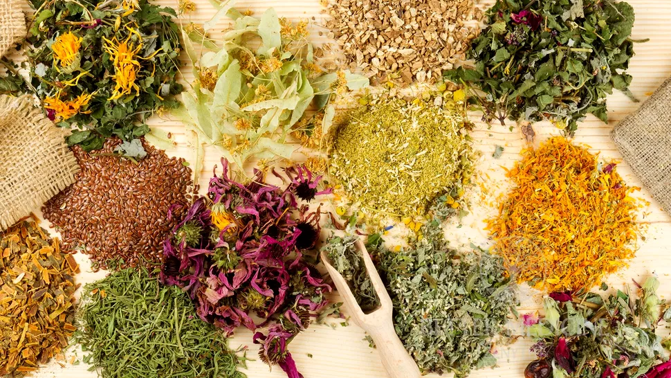 Planta naturală care întărește memoria și susține funcțiile creierului, potrivit medicilor